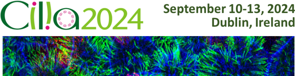 Cilia24 Banner