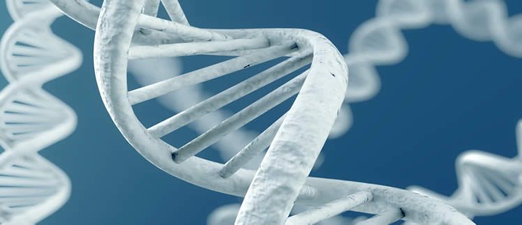 Genetic editing breakthrough in Joubert Syndrome