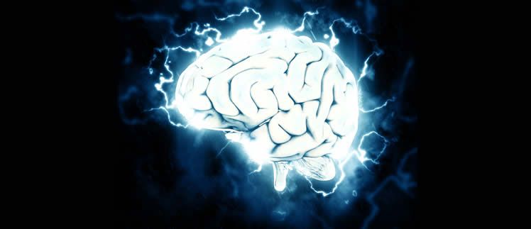 The Secret to a Bigger Better Brain
